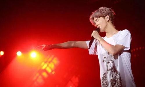 鹿晗演唱会陈赫爆料视频,陈赫意外爆料幕后趣事 第2张 鹿晗演唱会陈赫爆料视频,陈赫意外爆料幕后趣事 第2张